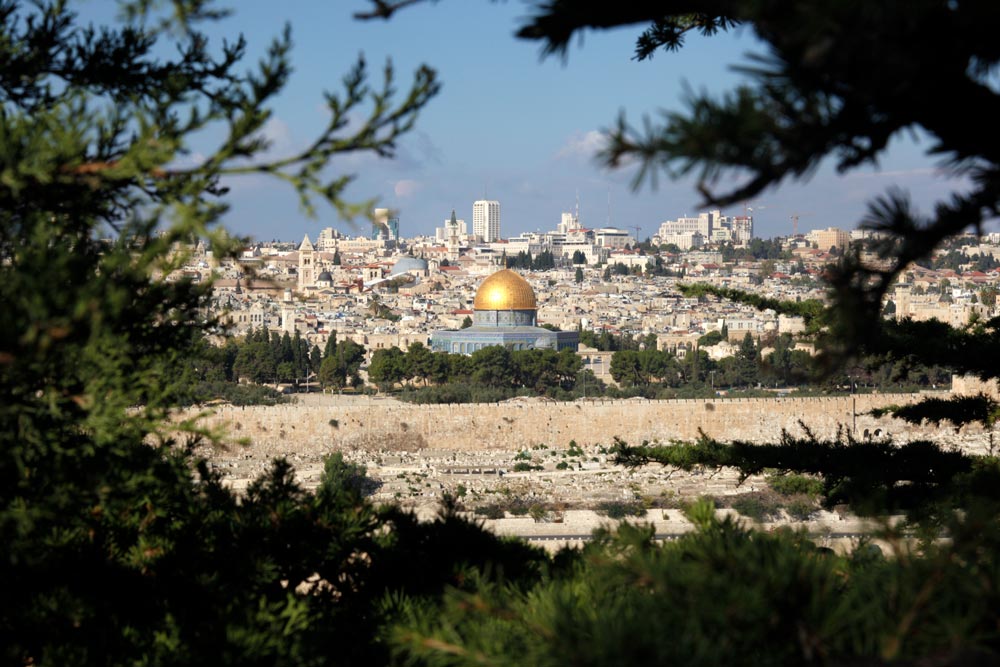 ewmt-israel-experience-feature ewmt-israel-experience-feature